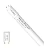 Noxion Tube LED T8 Avant (EM/Direct 230V) Standard Output 15W 1800lm - 830 Blanc Chaud | 120cm - Équivalent 36W