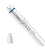 Philips LED Buis T8 MASTER (EM/Mains) High Output 8W 1050lm - 840 Koel Wit | 60cm - Vervangt 18W